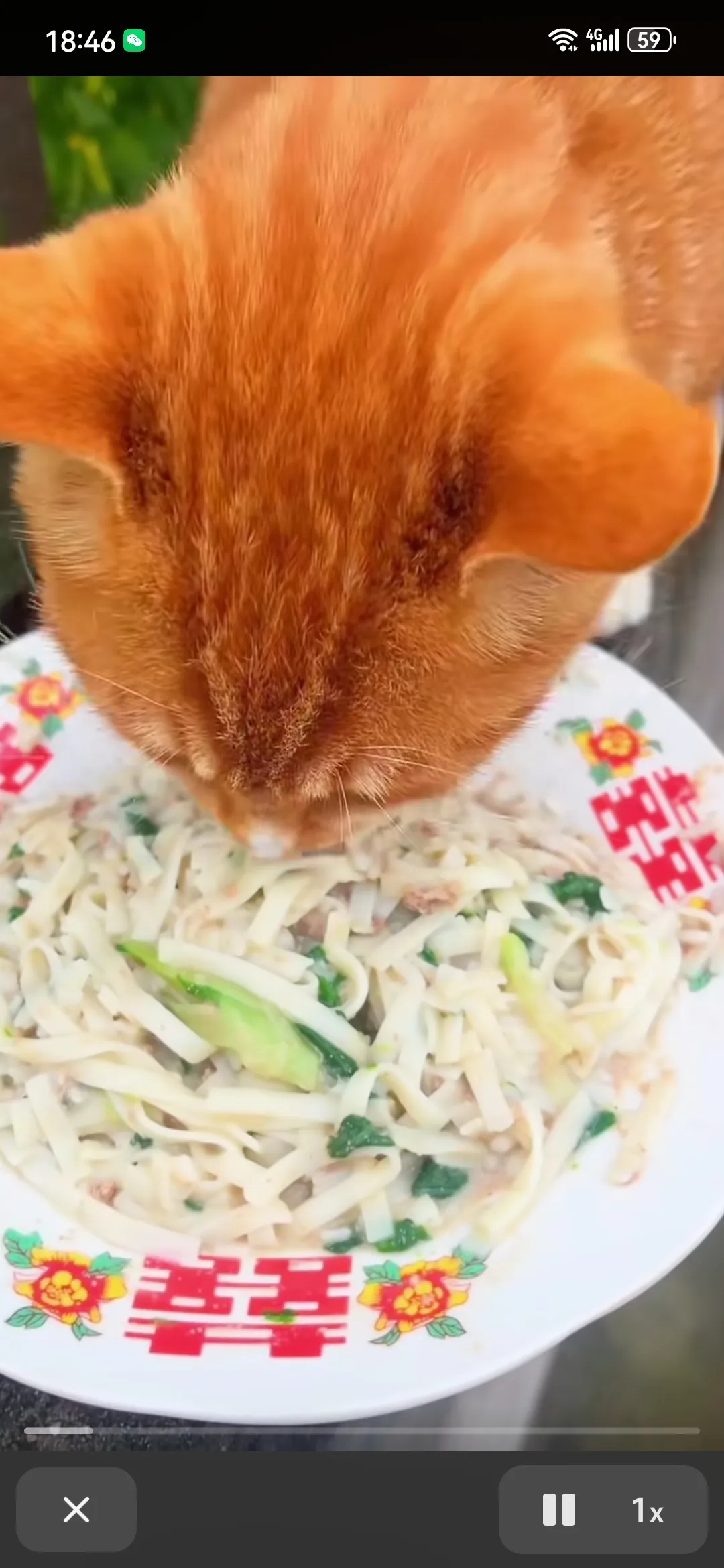 你的一口食物，就能挽救一个生命