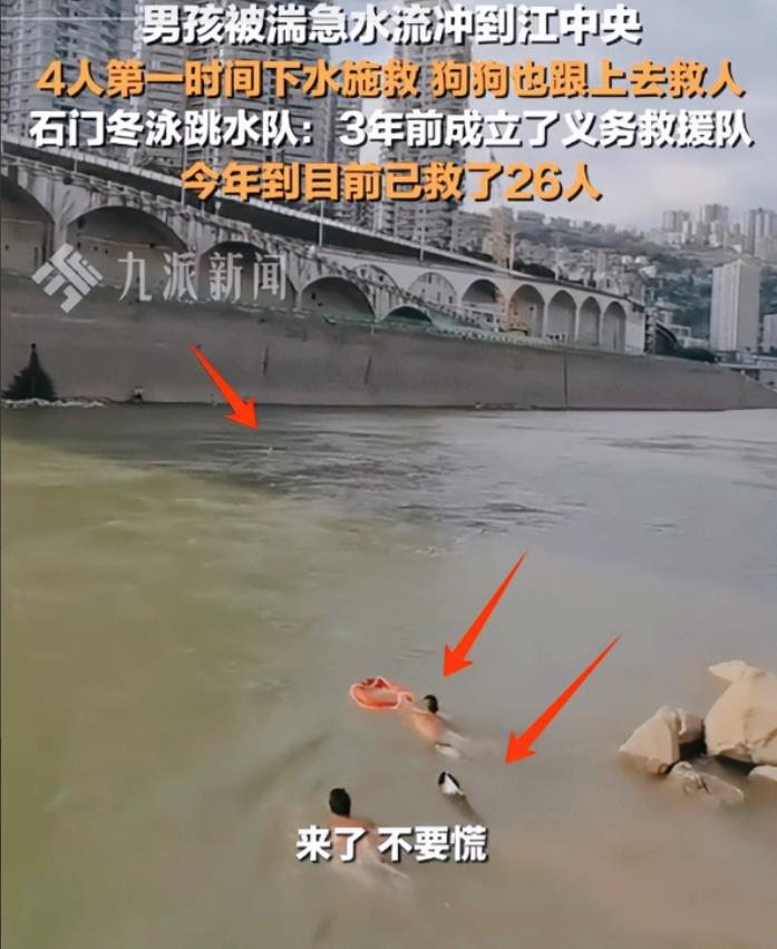 这只狗子火了！重庆一小男孩不幸溺水，眼看就要被江水吞没，男子听到呼救后果断跳入江