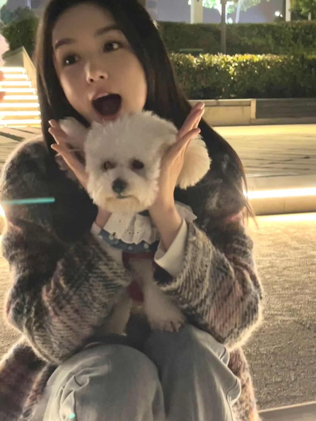 开～～门～～系～～我～～和～～小～～狗～～