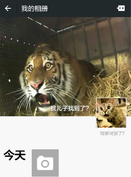 一看就知道是亲生的