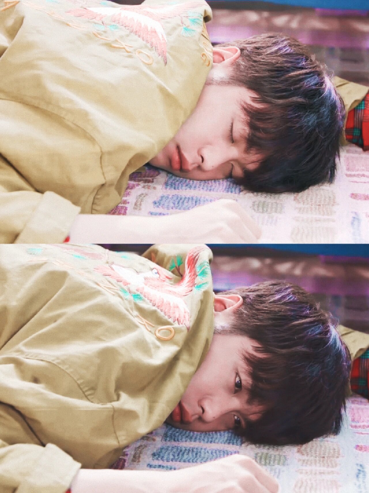 谁能拒绝软乎乎的张若昀