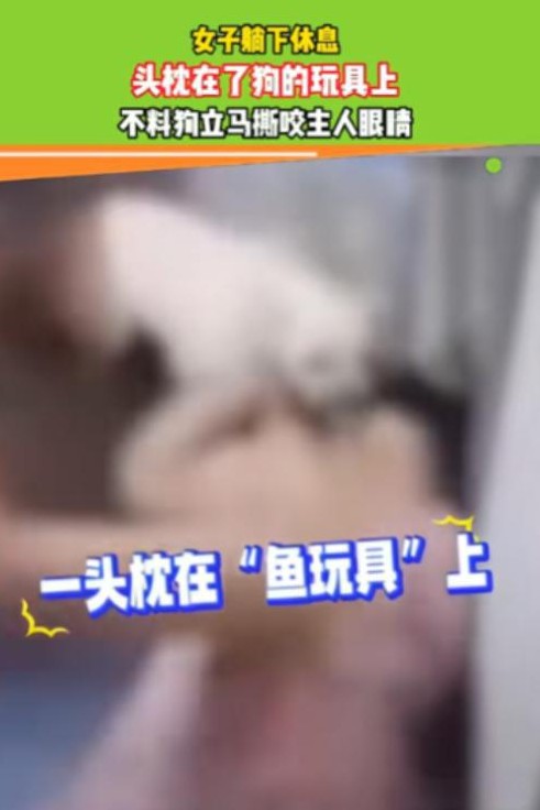 在黑龙江，一位化名李悦的女士经历了一场痛苦的意外，被自己一直以来当作家人的宠物狗