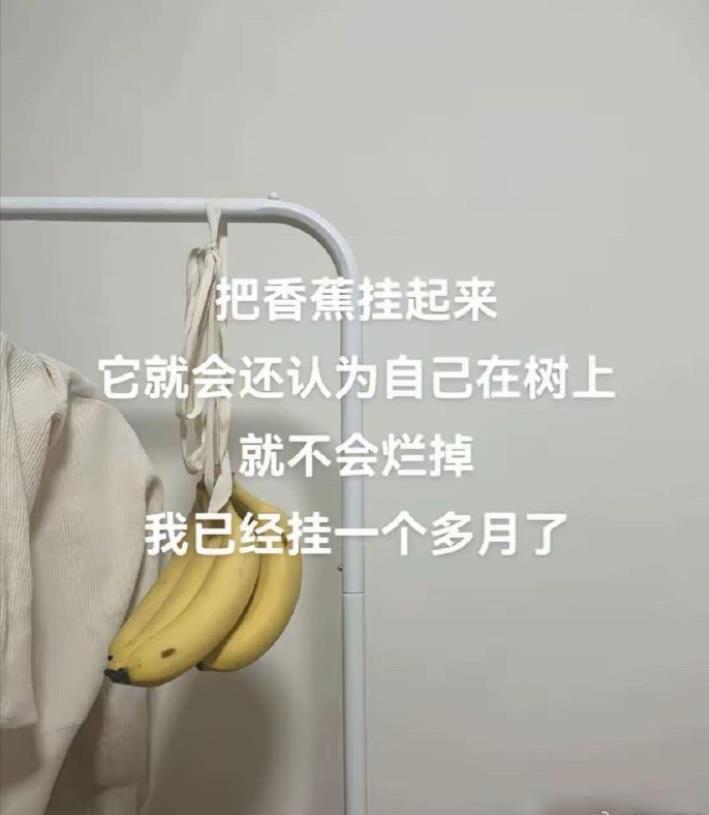 听说把香蕉挂在高处能保存得更久，是真的吗？