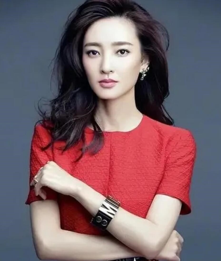 王丽坤前夫詹浩礼诈骗案的来龙去脉