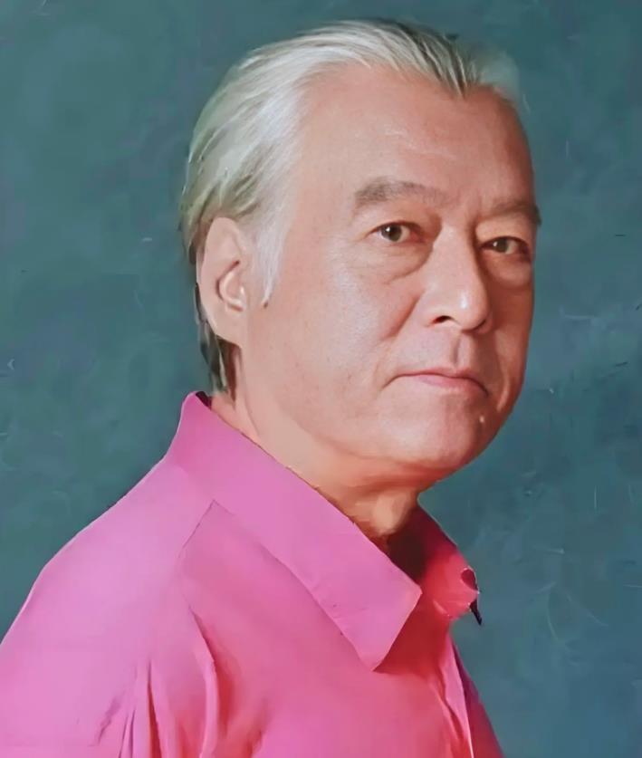 2004年，一部由鬼才导演和编剧钱雁秋执导的古装推理悬疑系列电视剧《神探狄仁杰》