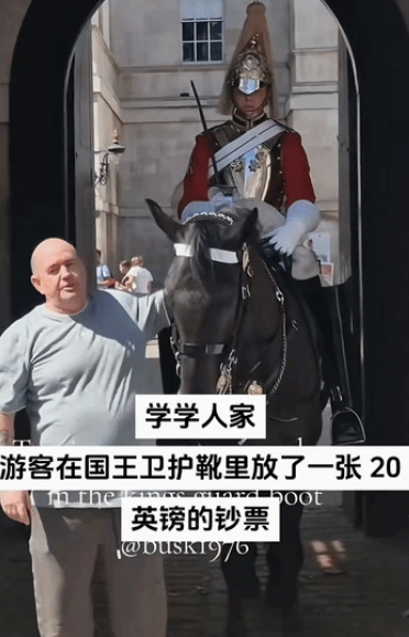 英国白金汉宫卫兵💂‍♂️骑的那匹黑马因经常攻击游客而被世人所知。

有的游客可