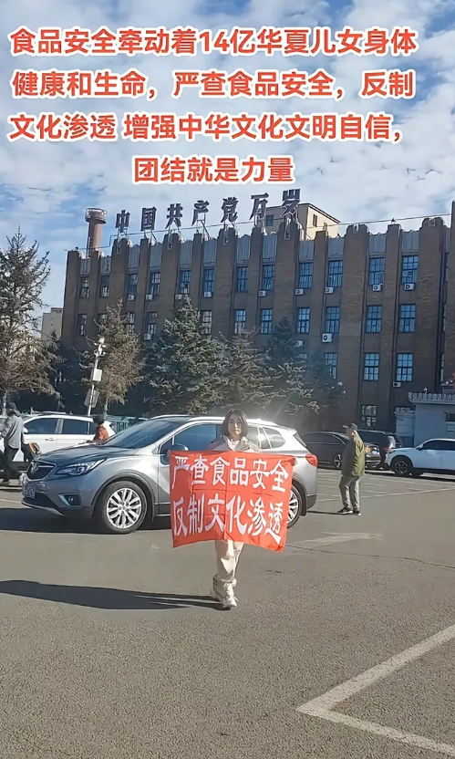 最近，网上出现有人在广场、公园等公共场所举着“严查食品安全，反制文化渗透”的标语