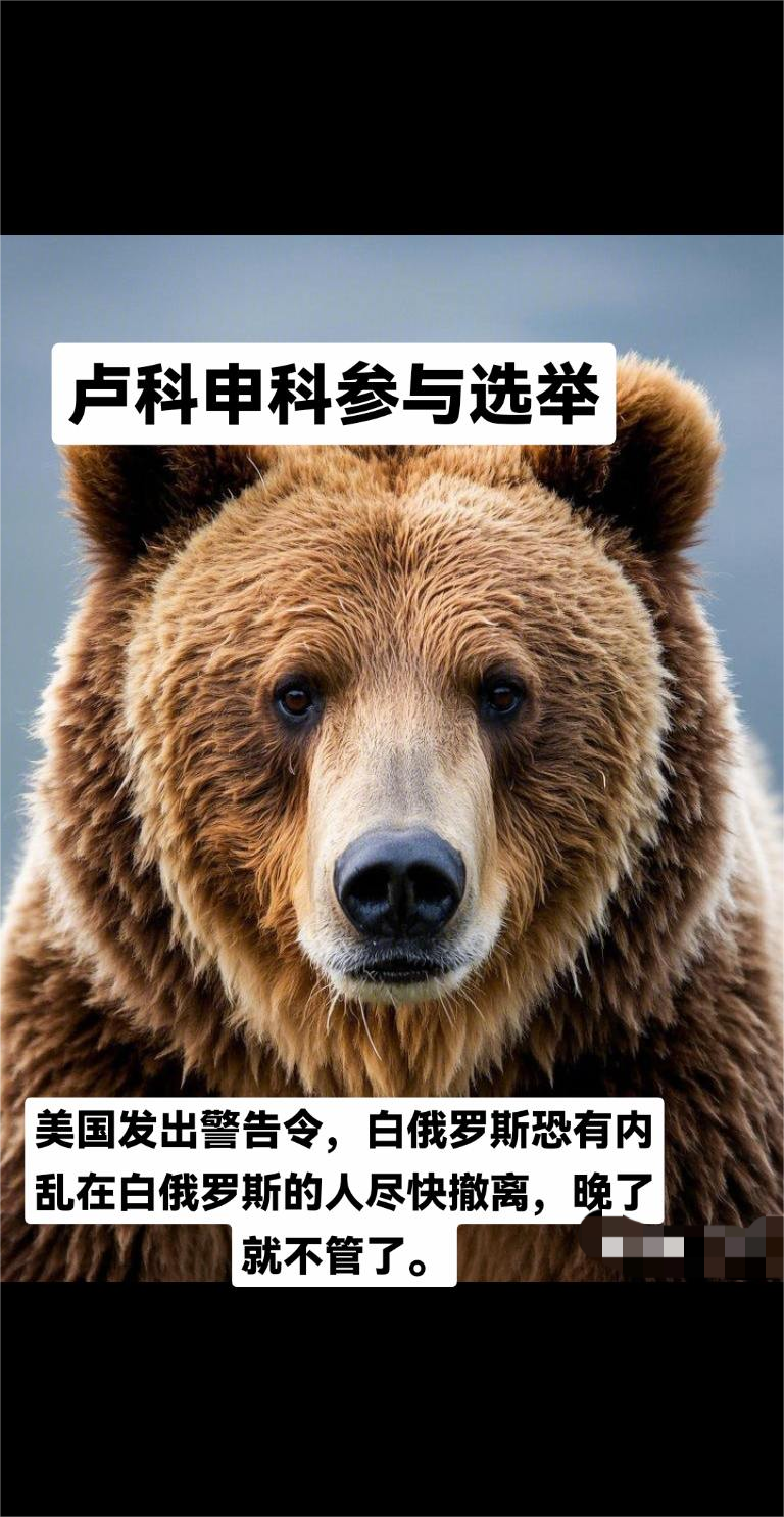 白俄罗斯临近选举，美国发出警告，白俄真的会步叙利亚后尘吗？