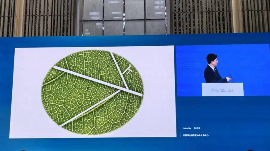 从荷叶中得到创新灵感，华人院士和北大教授研究新材料取得突破