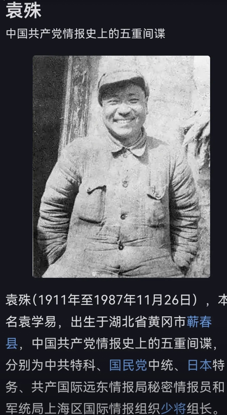 袁殊，五重间谍，中共、中统、军统、日伪、青洪帮五重身份，电视剧伪装者 明楼的原型