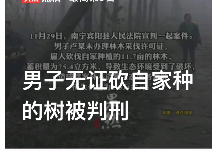 “砍自家的树也犯法？”广西南宁，一男子砍了自家的树，不但被判有期徒刑 2 年 6