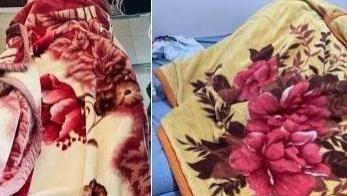 广东“土特产”登上神坛？曾被网曝数十年，今中产和穷鬼都不放过