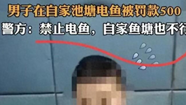 男子在自家鱼塘电鱼，被罚款500元，男子：自家的鱼不是自己的？