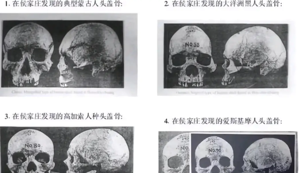 殷墟为啥从不公布贵族及王室父系DNA？殷墟当时考古队长老唐搞一半就不敢继续了，这