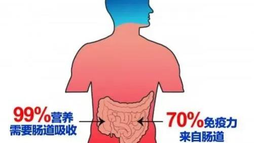 健康知识分享 | 未老肠先衰？有这些症状说明你的肠道老化了