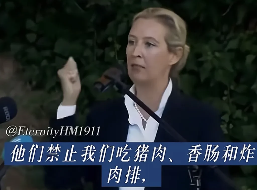 德国真的彻底怒了！

魏德尔公开谴责警告想反客为主的中东移民：他们禁止我们吃猪肉