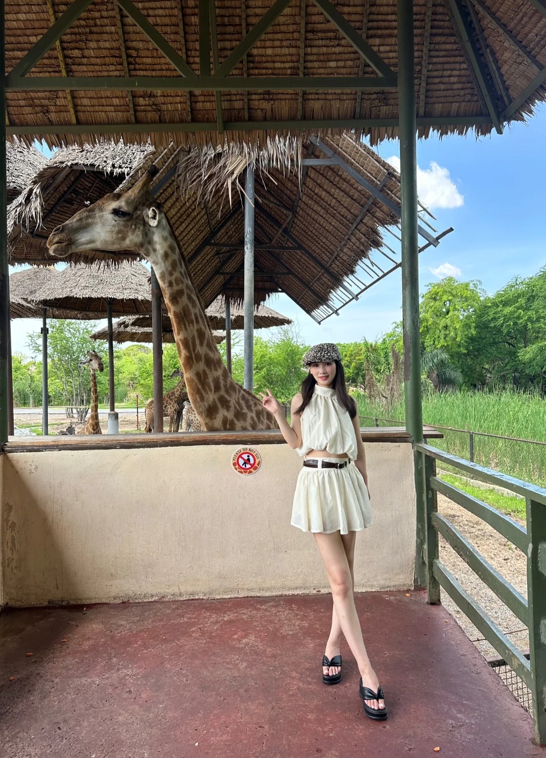 和🦒比个子🫧
太热了  泰铢一定要换购 去每个景点合照主要给钱的

长颈鹿很