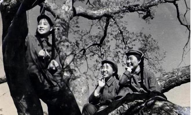 1951年，5名女志愿军战士，在战场离奇失踪，没有人知道她们的踪迹。直到50年后