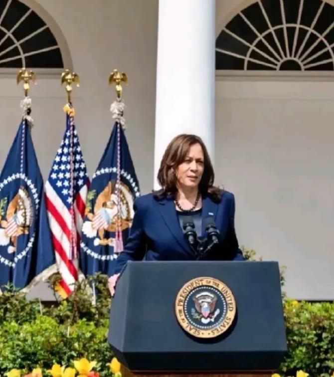 财产被曝光！
美国副总统有多少钱！
说到美国副总统哈里斯，她的财产清单一亮相，嘿