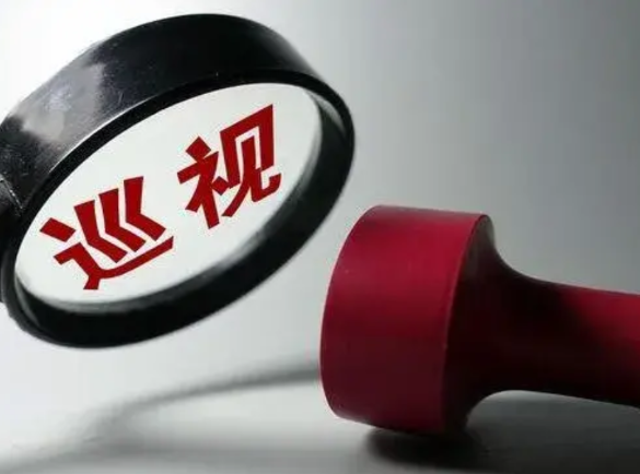 巡视组进驻学校半天，了解了一下学校的日常工作情况，提出了三条整改意见。譬如为啥有