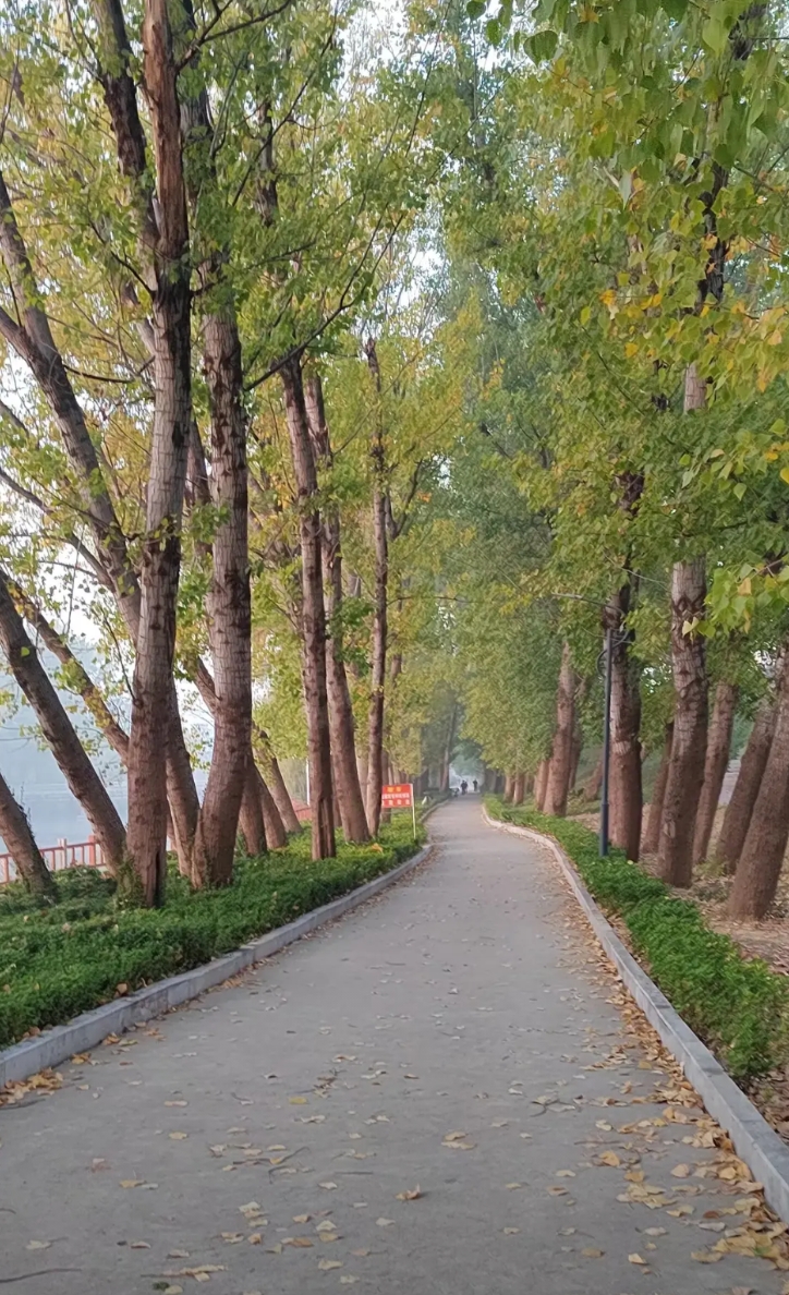 今天下午  我们学校的三年级语文教师和我们校长吵起来了！校长需要去外地培训一周 