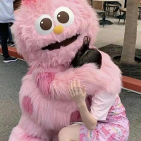 随风而逝是青春