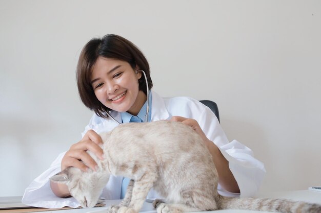 作为宠物主人，我们都会面临这样一个问题：公猫发情时，既吵闹又容易搞破坏，甚至会表