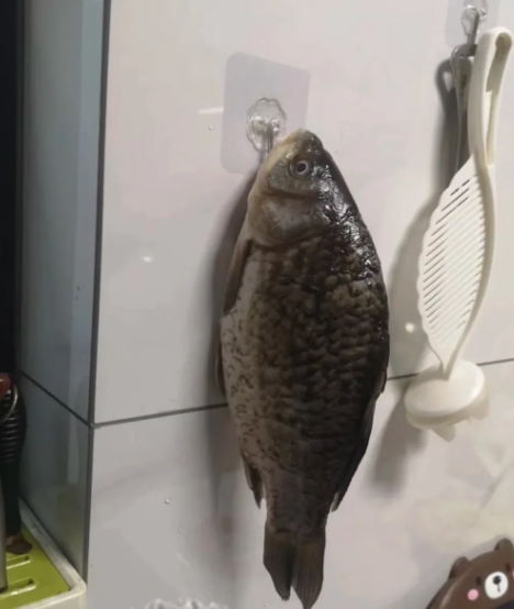 越长大越能理解我妈为什么总骂我爸

1.我爸大过年给卫生间贴一张生意兴隆
2.妈