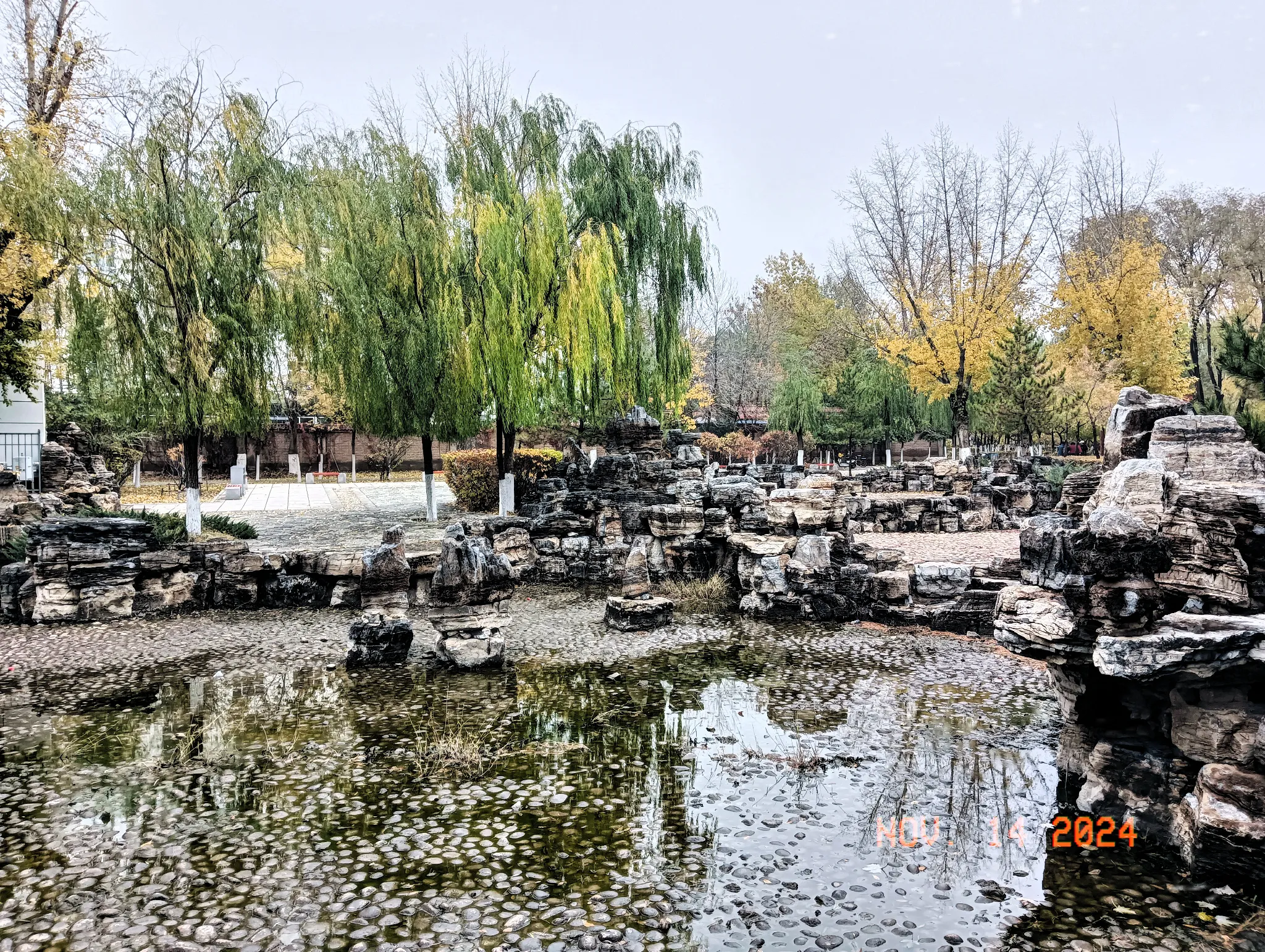 公园美丽景随拍