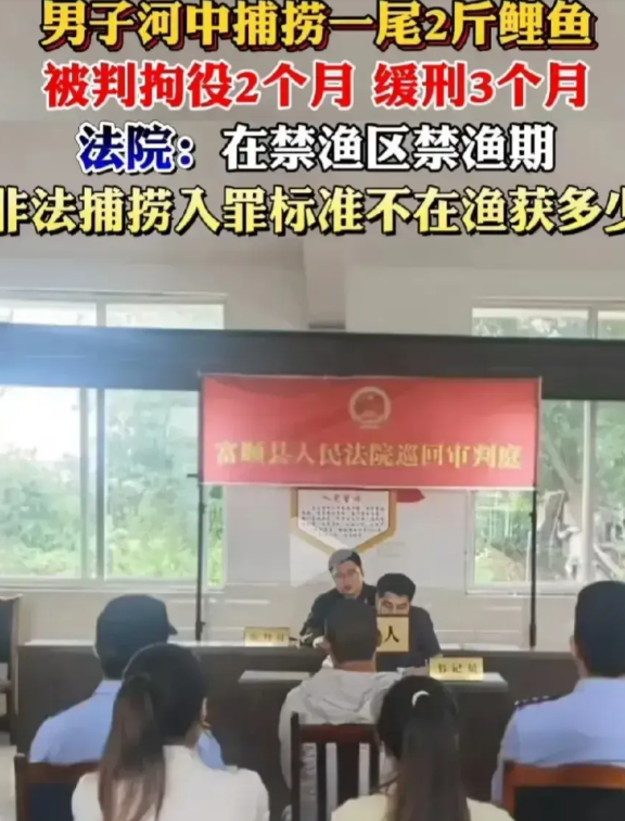 正如我昨晚的預測。
今天凌晨公調處對在漢南洞的總統官邸進行逮捕行動。
執行逮捕人