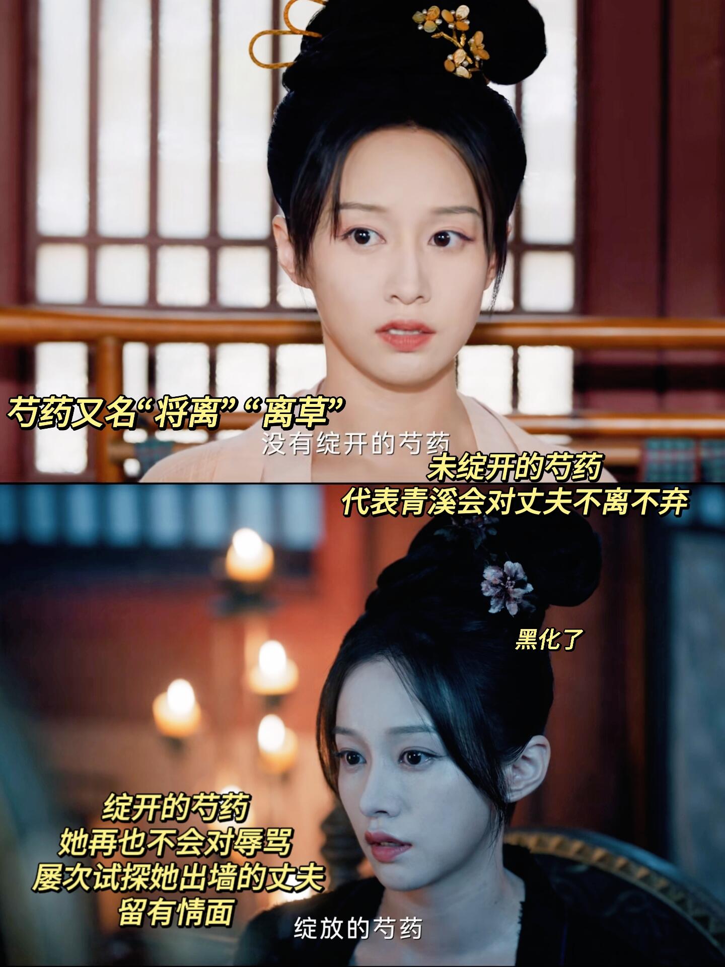 再次绽放的芍药才是她本色‼️