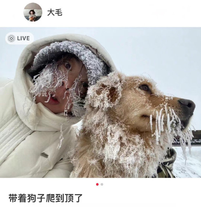 看得出主人是开心的狗是被迫的 ​​​