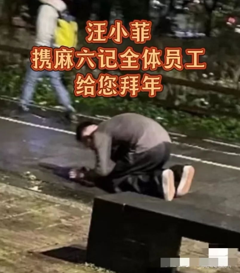 终于理解徐家为啥不弄追悼会了， 弄了就是给爱新觉罗搭舞台了。 骨灰估计偷偷下葬在