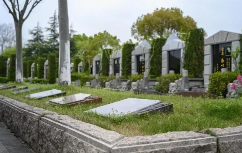 上海，姐姐加入外国国籍后，跟弟弟断了联系。父亲生病到去世，都是弟弟一人照顾承担。