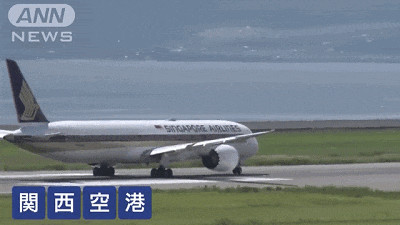 日本海关严查，一名中国女性因为携带这个被罚款7万