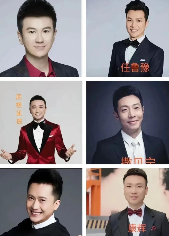 视这六位男主持堪称行业标杆，论业务能力和专业素养个个都是顶尖水准。

要说综合条