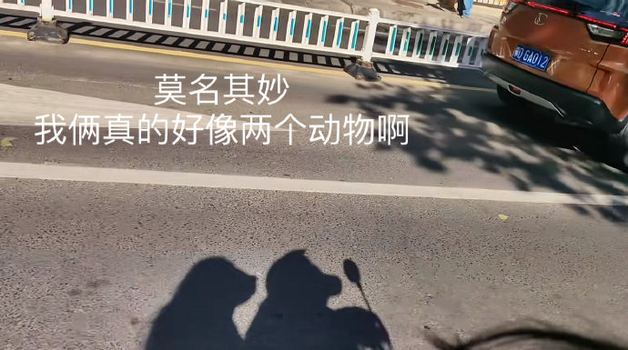 这下真的是现出原形了