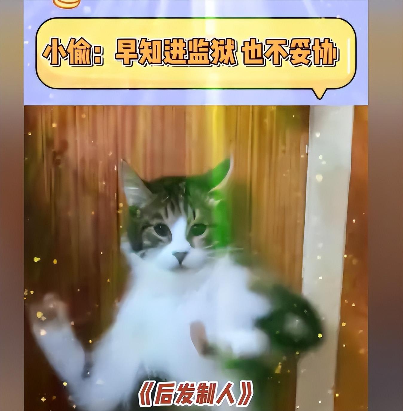 在这个信息爆炸的时代，网络上的各种奇闻异事，总能迅速抓住人们的眼球。最近，一则关