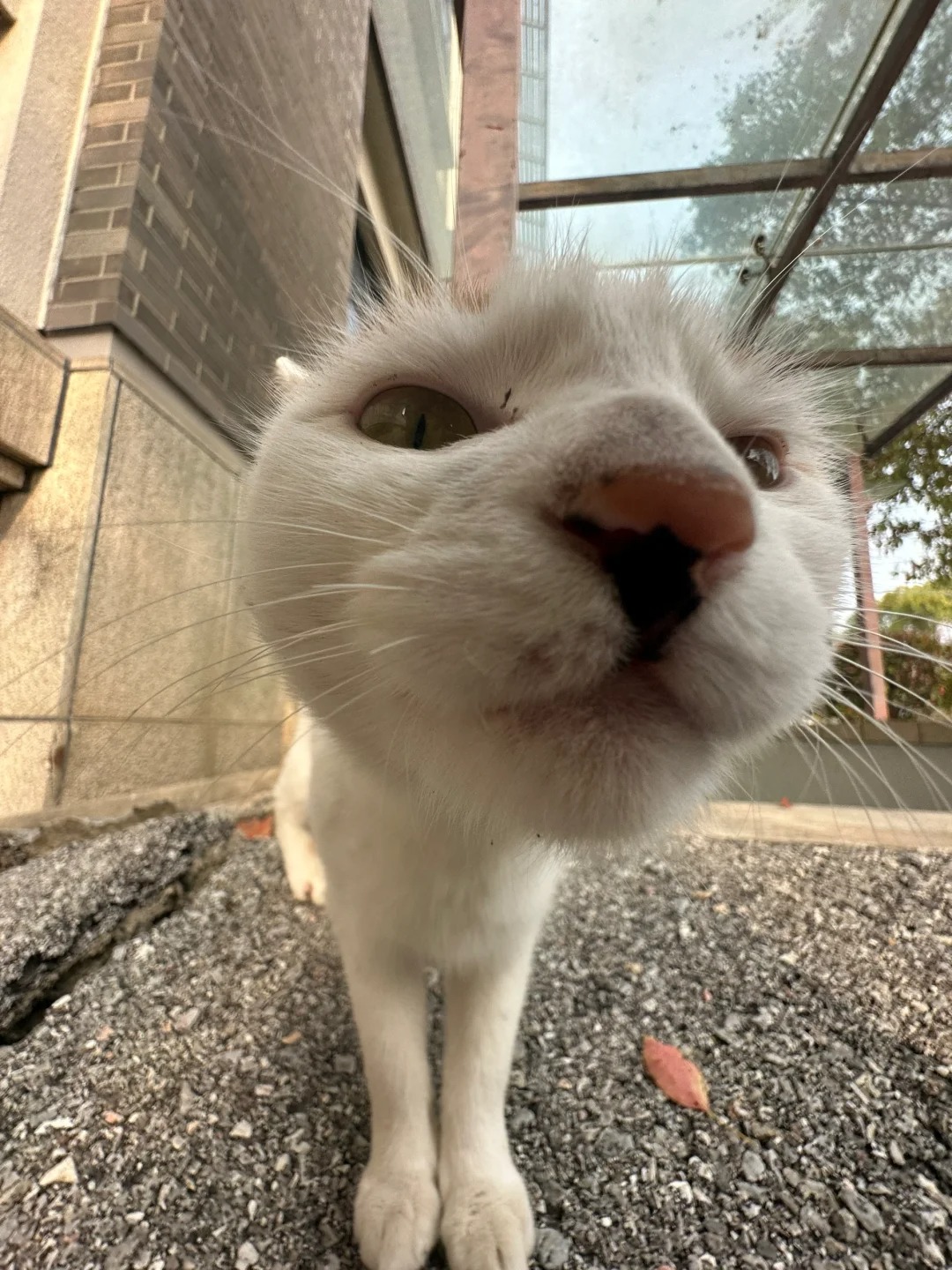 学妹，我们之间的距离有点暧昧了～