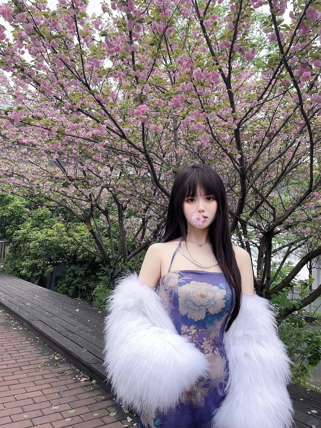 #梨花哪有姐姐香