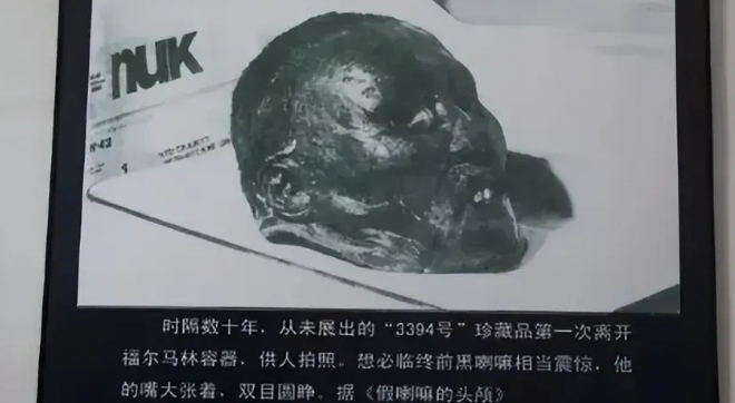 1924年，在苏联博物馆中展出的一颗面容狰狞的头颅，引起了人们的关注。这颗头颅曾