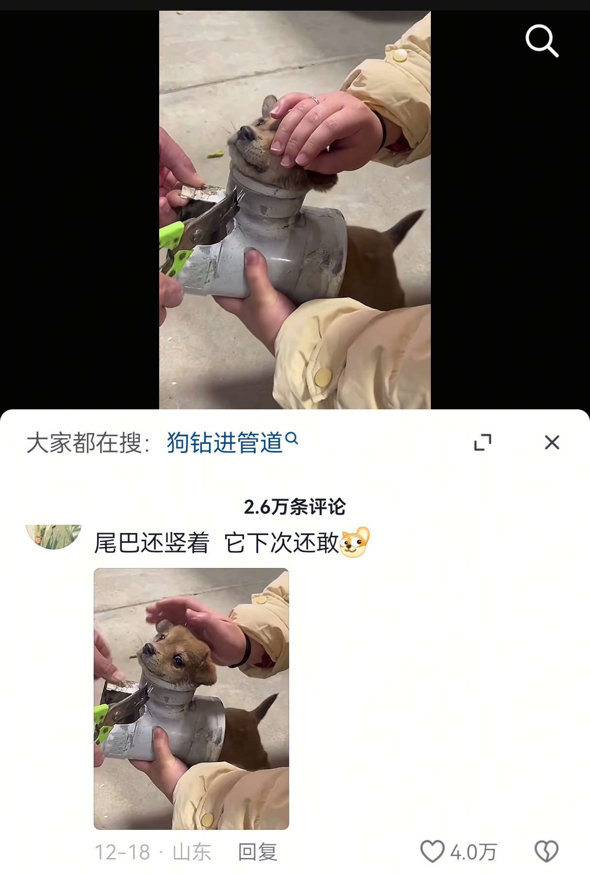 要不说还是你会玩啊