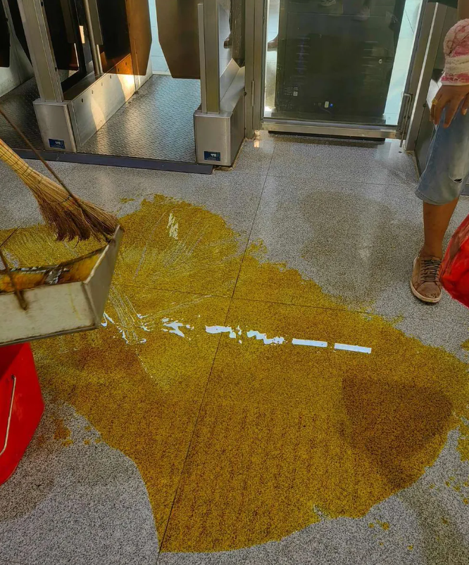 大家好，我是不是愚孝啊，爸妈非让我带桶油回去，这下好了………几十块钱一桶的东西，