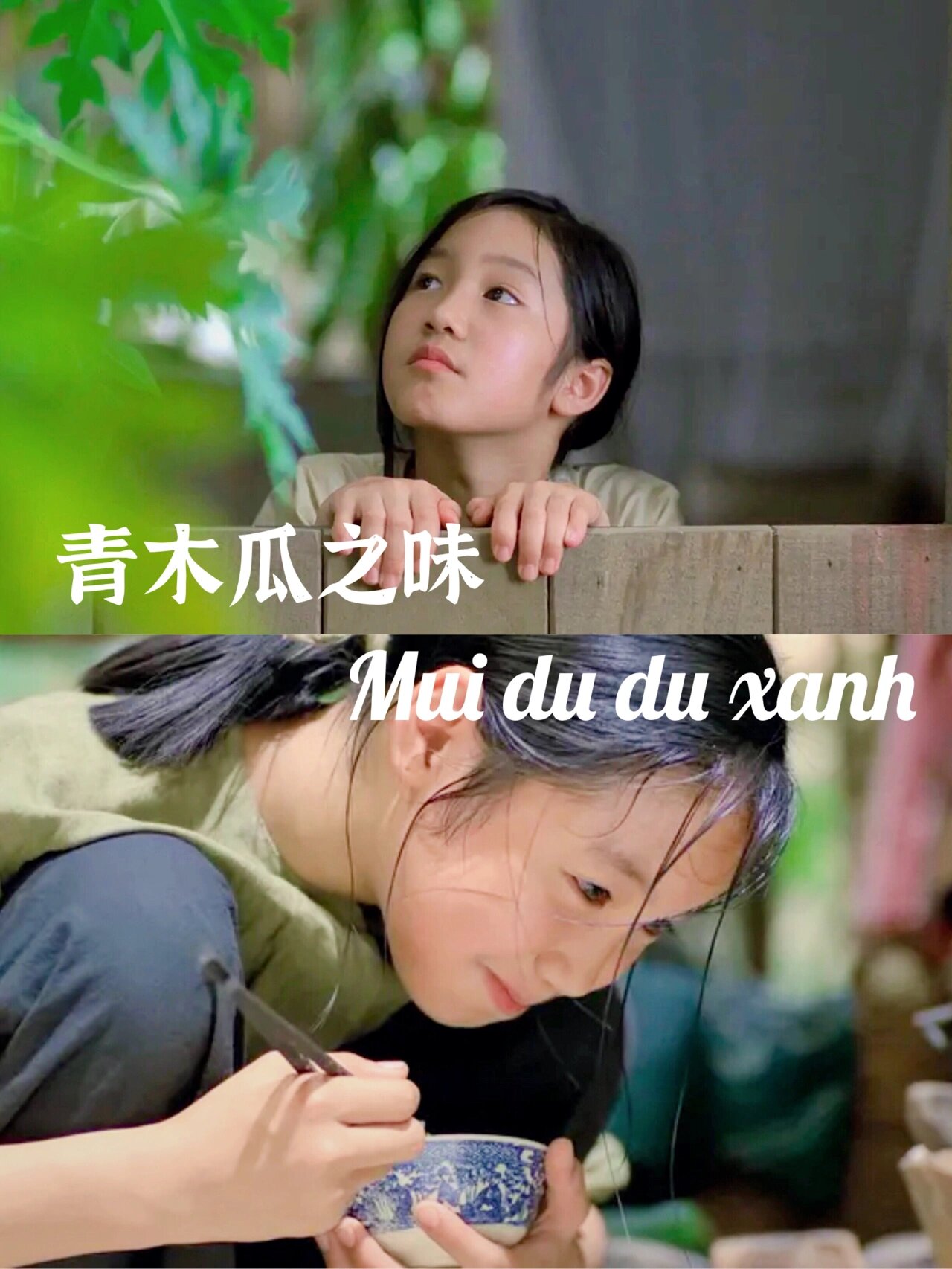 静谧恬淡的味道令人沉醉