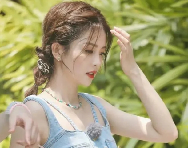 白鹿的高铁梦成真