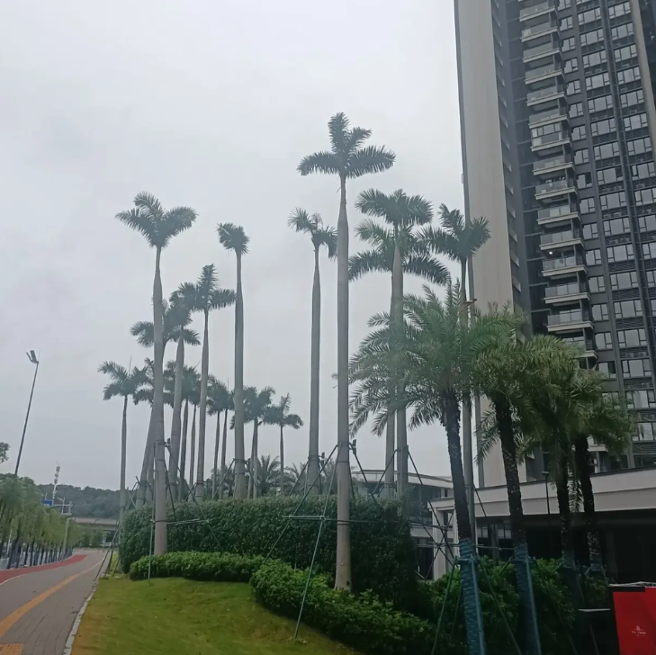 妻子说我，过去的2024年，我干了人生中罕见的两大蠢事和一件小聪明的小事。
共3