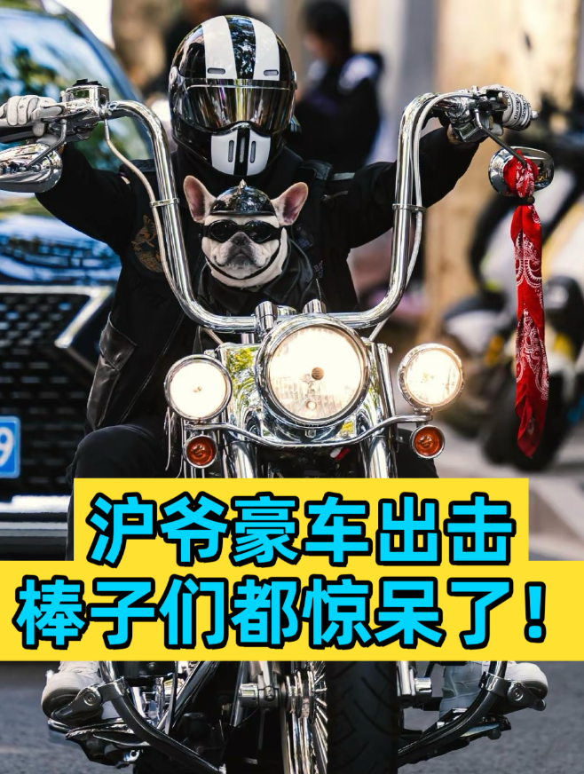 活久见！上海沪爷骑200万哈雷炸街，只为炫给韩国人看！

据说这是全国唯一手工线