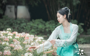 公主看上了我的夫君，日日与他恩爱快活，殊不知死后我化成魂魄，将这一切看得清清楚楚