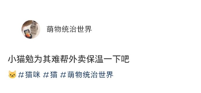 这小猫还怪好心的嘞