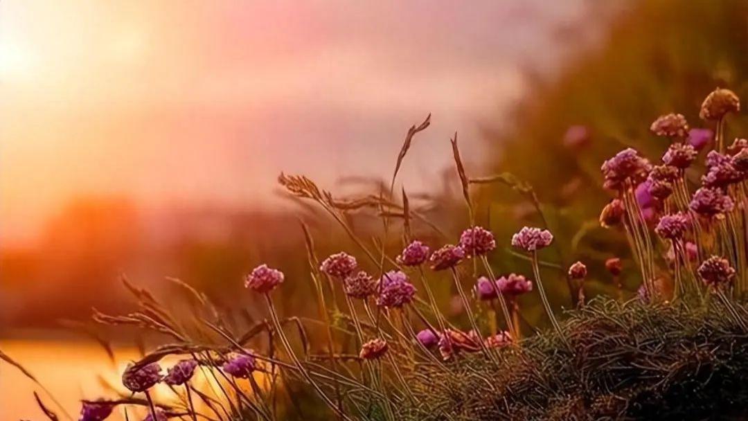 一个家庭出现这三个信号，预示着儿女将有出息，可喜可贺